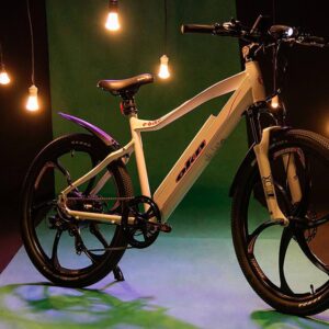 Bicicleta Eléctrica E-bike MTB