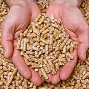 Pellet de madera de pino